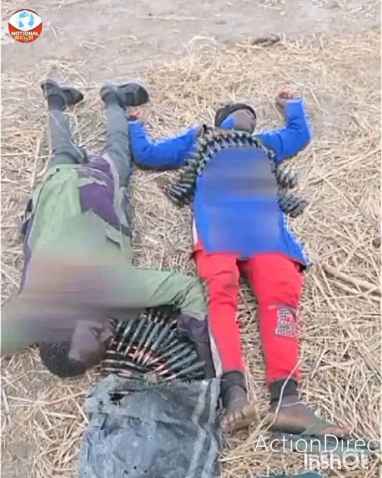 97b56c5f-5329-496a-9b72-92a2969eceac